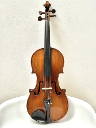 Violin full size stainer - 4/4,