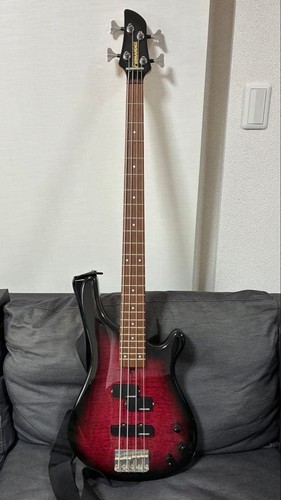 Fernandes electric bass body - fernandes,