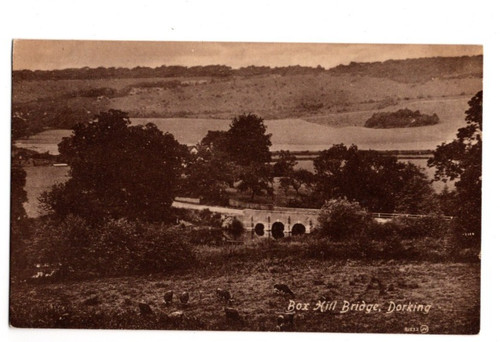 Dorking box hill - hill, surrey
