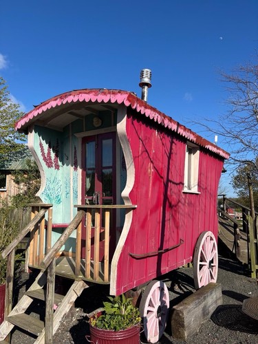 Red showman gypsy wagon - red,