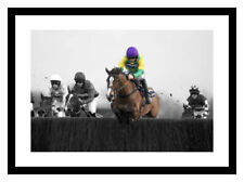 Kauto Star Horse Racing