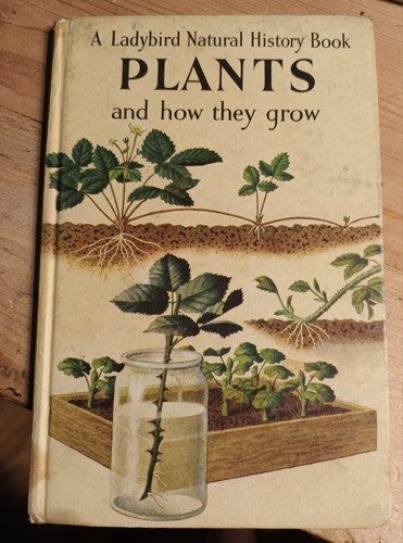 Vintage ladybird book plants - ladybird,