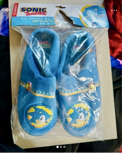 Sonic hedgehog slippers - hedgehog,