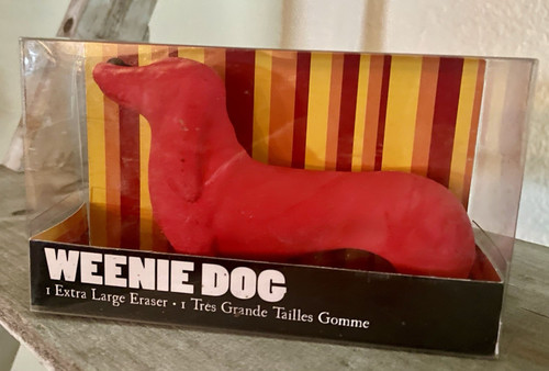 Weenie dog dachshund extra - dachshund,