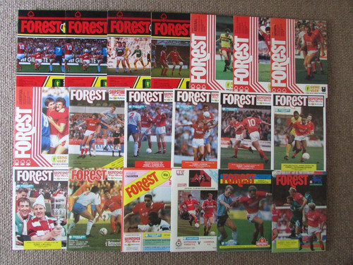 Nottingham forest home - nottingham,