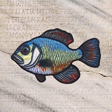 Bluegill Angler Fishing