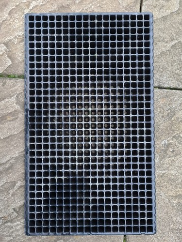 Rigid plastic 576 cell - plastic, seed