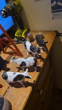 cows x4   16mm Scale 1:19