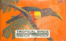TROPICAL BIRDS