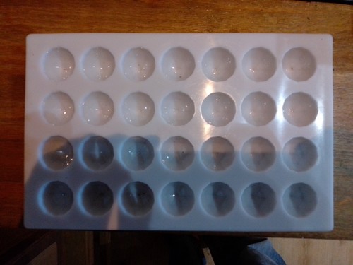 Chocolate moulds clear plastic - moulds,