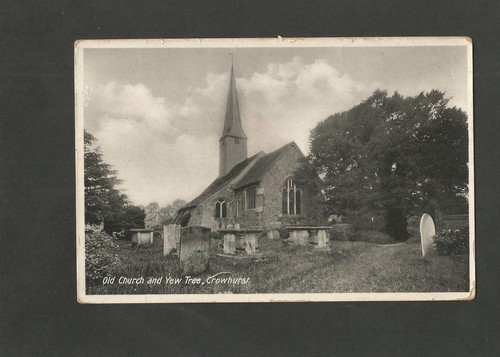 Postcard surrey lingfield - surrey,