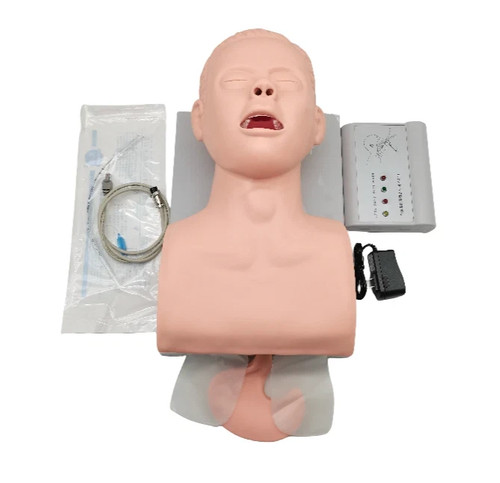 Intubation manikin study - manikin,