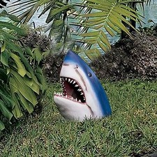Great White Shark Garden