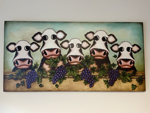 Caroline shotton limited - caroline,