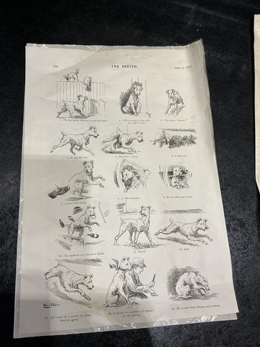 The sketch antique newspaper - antique,