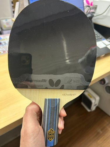 Table tennis butterfly fan - butterfly,