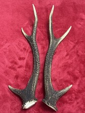 PAIR OF SIKA DEER ANTLERS