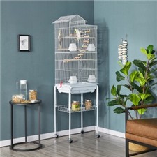 Parrot cage bird - bird,