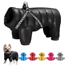 Small Dog Winter Coats