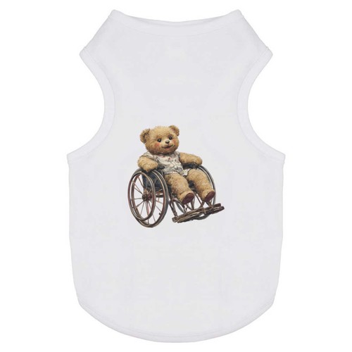 Teddy wheelchair pet dog - in,