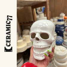 Skull ceramic skeleton mould - skull,