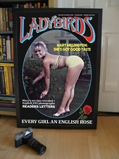 MARY MILLINGTON LADYBIRDS