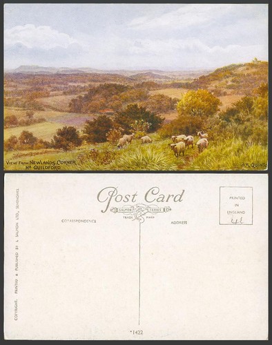 Quinton old postcard sheep - old,