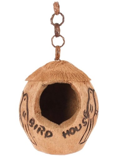 Decorative coconut bird - decorative,