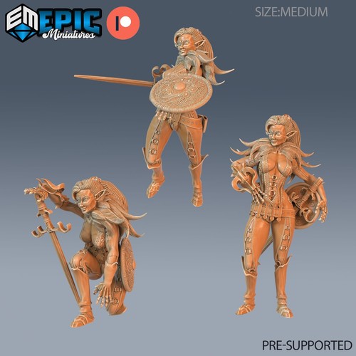 Elf fighter player character - player,