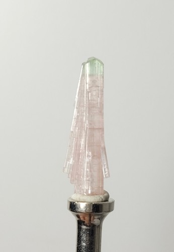 Green top pink tourmaline - pink, tourmaline/
