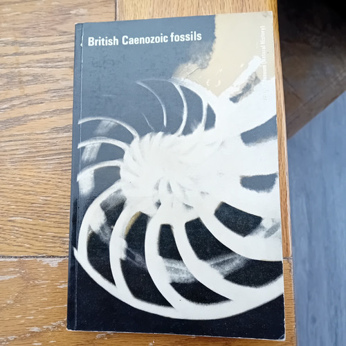 British caenozoic fossils - caenozoic,