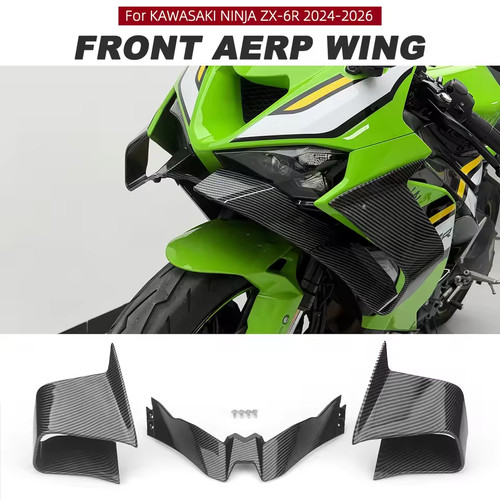 Front fairing winglets - front,