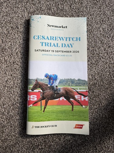 Newmarket saturday 19th - newmarket,