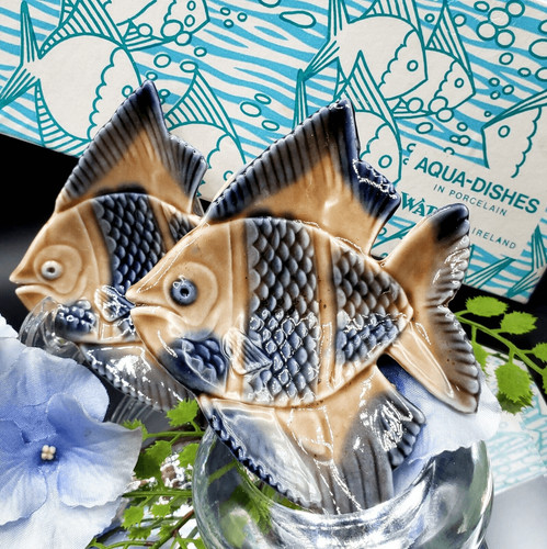 Aqua dishes angel fish - angel, wade