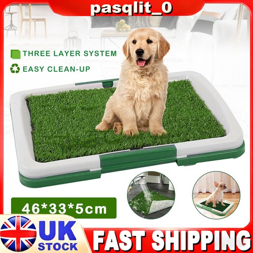 Pet dog toilet mat - dog,