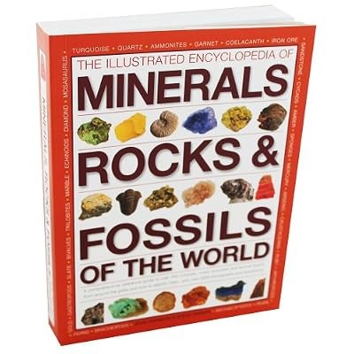 The illustrated encyclopedia - illustrated,