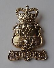 Belfast Queens University Officer Training Corps OTC Anodised Cap Badge