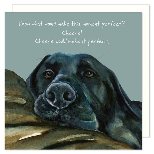 Black labrador greeting card - black,