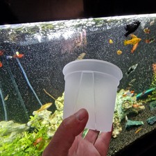 Round plastic semi transparent - round,