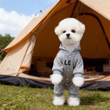 Dog Tracksuit Grey Hoodie