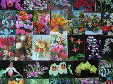 100 Postcards of FLOWERS, PLANTS, GARDENS. Used & Unused.  Modern size