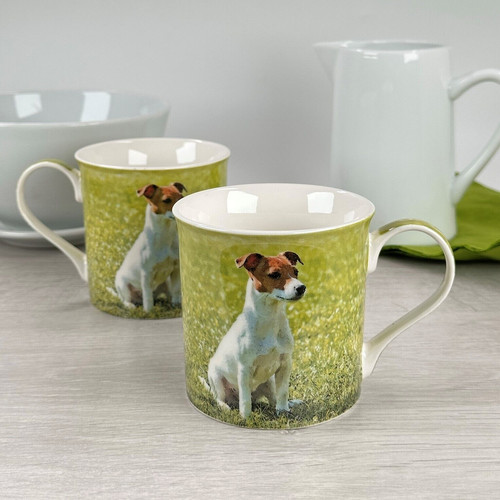 Jack russell mugs - jack,