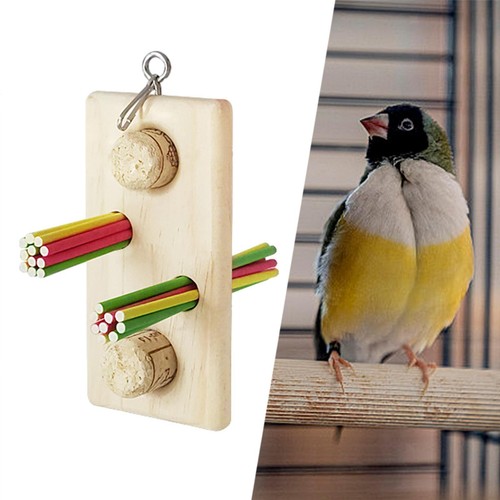 Parrot chewing toys - parrot,
