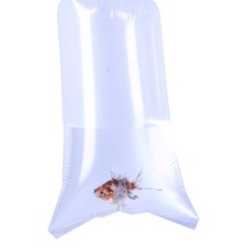 Aquarium Fish Transport Bags