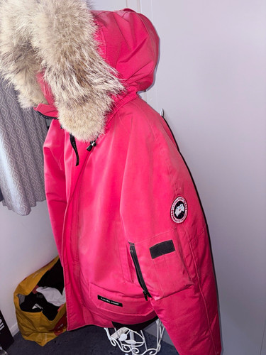 Canada goose chilliwack - canada,
