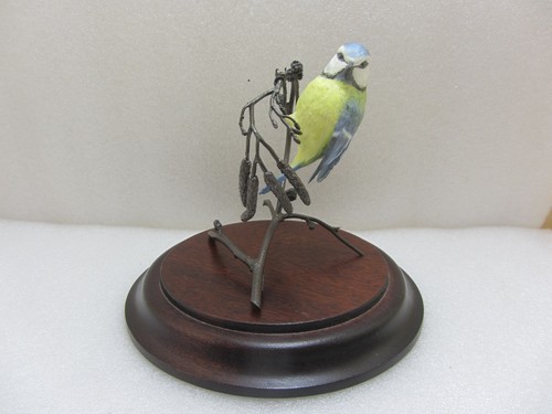 Coalport porcelain blue tit - porcelain,