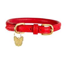 Shires Digby and Fox Rolled Leather Dog Collar - Scarlett