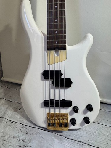 Fernandes electric bass with - fernandes,