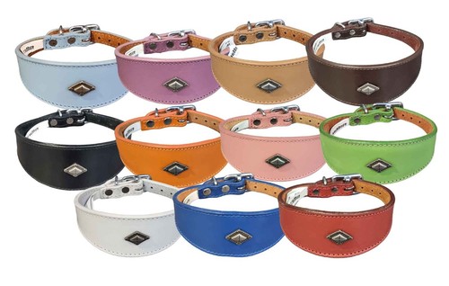 Leather collar for - for, whippet