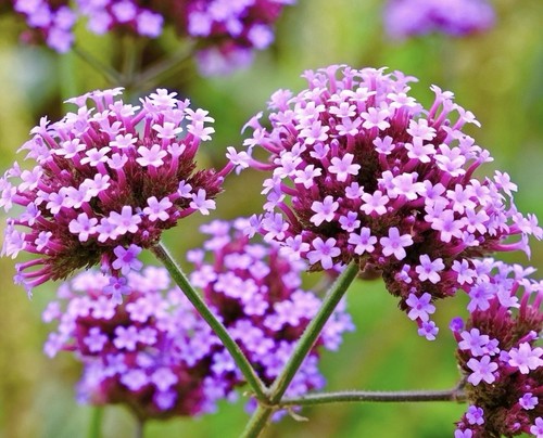 Free postage healthy - postage!, 6